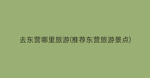 去东营哪里旅游(推荐东营旅游景点)
