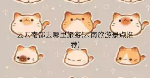 去云南都去哪里旅游(云南旅游景点推荐)
