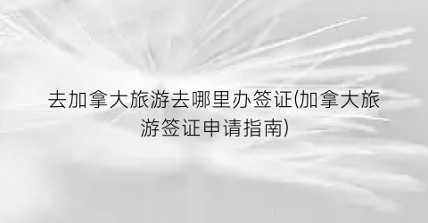 去加拿大旅游去哪里办签证(加拿大旅游签证申请指南)