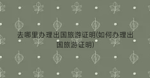 去哪里办理出国旅游证明(如何办理出国旅游证明)