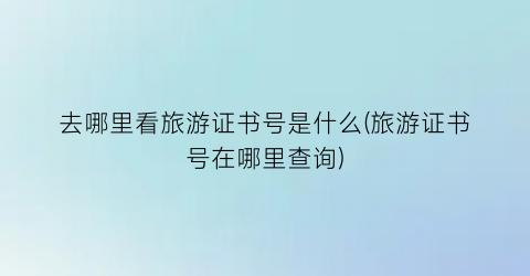 去哪里看旅游证书号是什么(旅游证书号在哪里查询)