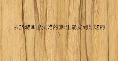 去旅游哪里买吃的(哪里能买到好吃的)