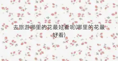 去旅游哪里的花最好看呢(哪里的花最好看)