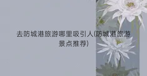 去防城港旅游哪里吸引人(防城港旅游景点推荐)
