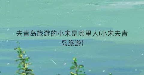 去青岛旅游的小宋是哪里人(小宋去青岛旅游)