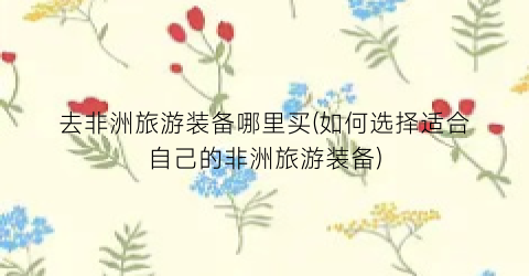 去非洲旅游装备哪里买(如何选择适合自己的非洲旅游装备)