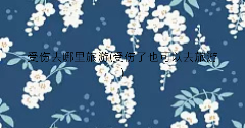 受伤去哪里旅游(受伤了也可以去旅游)