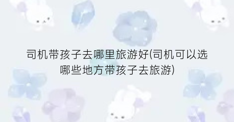 司机带孩子去哪里旅游好(司机可以选哪些地方带孩子去旅游)