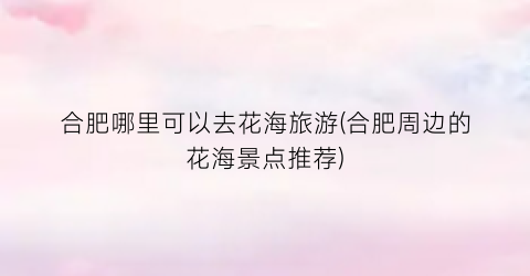 合肥哪里可以去花海旅游(合肥周边的花海景点推荐)