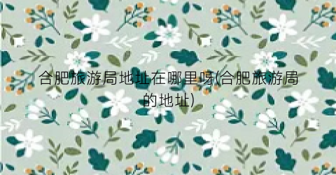合肥旅游局地址在哪里呀(合肥旅游局的地址)