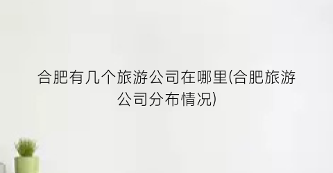 合肥有几个旅游公司在哪里(合肥旅游公司分布情况)