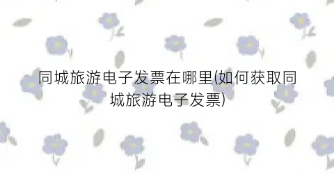 同城旅游电子发票在哪里(如何获取同城旅游电子发票)