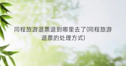 同程旅游退票退到哪里去了(同程旅游退票的处理方式)