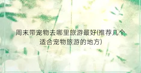 周末带宠物去哪里旅游最好(推荐几个适合宠物旅游的地方)