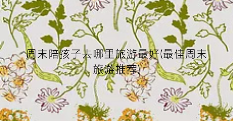 周末陪孩子去哪里旅游最好(最佳周末旅游推荐)