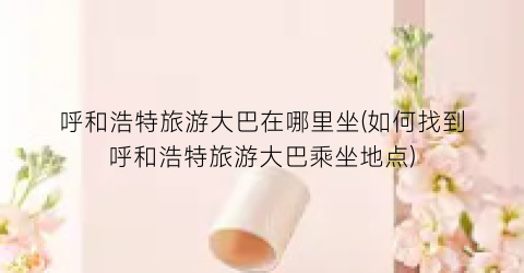 呼和浩特旅游大巴在哪里坐(如何找到呼和浩特旅游大巴乘坐地点)