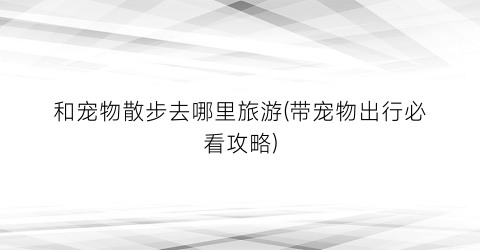 和宠物散步去哪里旅游(带宠物出行必看攻略)
