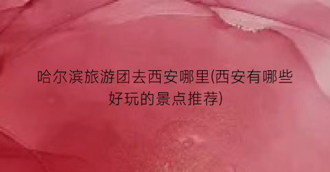 哈尔滨旅游团去西安哪里(西安有哪些好玩的景点推荐)