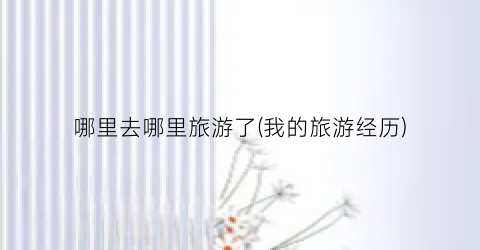 哪里去哪里旅游了(我的旅游经历)