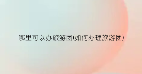哪里可以办旅游团(如何办理旅游团)