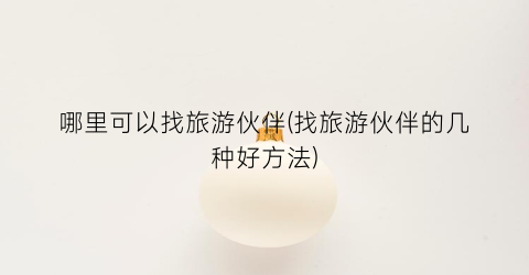 哪里可以找旅游伙伴(找旅游伙伴的几种好方法)