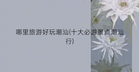 哪里旅游好玩潮汕(十大必游景点潮汕行)