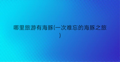哪里旅游有海豚(一次难忘的海豚之旅)