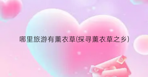哪里旅游有薰衣草(探寻薰衣草之乡)