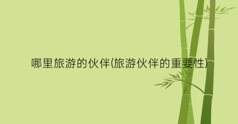 哪里旅游的伙伴(旅游伙伴的重要性)