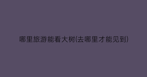 哪里旅游能看大树(去哪里才能见到)
