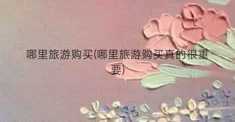 哪里旅游购买(哪里旅游购买真的很重要)