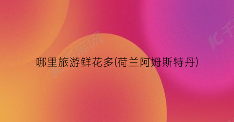 哪里旅游鲜花多(荷兰阿姆斯特丹)