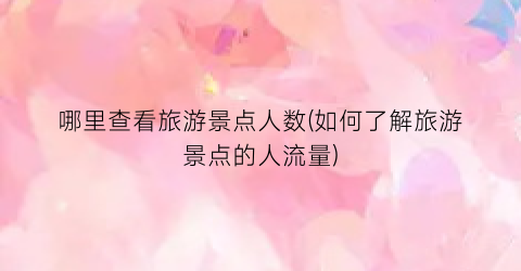 哪里查看旅游景点人数(如何了解旅游景点的人流量)