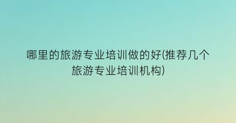 哪里的旅游专业培训做的好(推荐几个旅游专业培训机构)