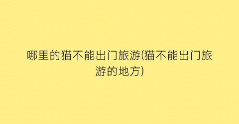 哪里的猫不能出门旅游(猫不能出门旅游的地方)