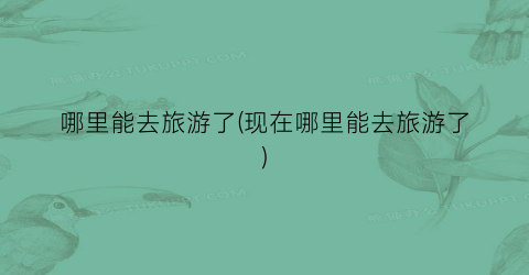 哪里能去旅游了(现在哪里能去旅游了)