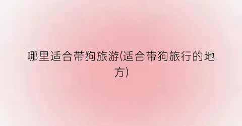 哪里适合带狗旅游(适合带狗旅行的地方)