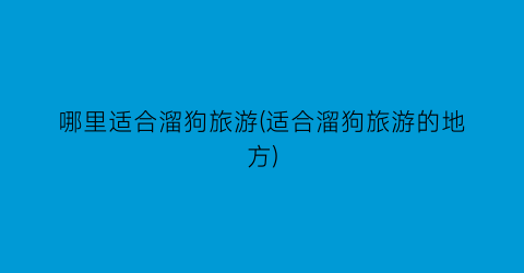 哪里适合溜狗旅游(适合溜狗旅游的地方)