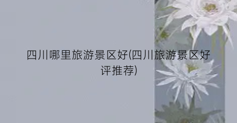 四川哪里旅游景区好(四川旅游景区好评推荐)