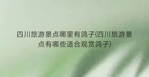 四川旅游景点哪里有鸽子(四川旅游景点有哪些适合观赏鸽子)