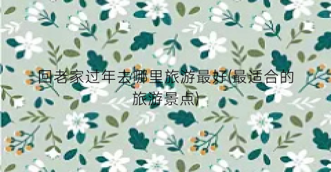 回老家过年去哪里旅游最好(最适合的旅游景点)