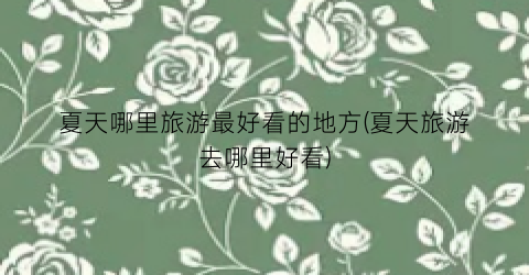 夏天哪里旅游最好看的地方(夏天旅游去哪里好看)