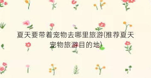 夏天要带着宠物去哪里旅游(推荐夏天宠物旅游目的地)