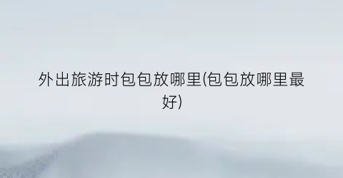 外出旅游时包包放哪里(包包放哪里最好)