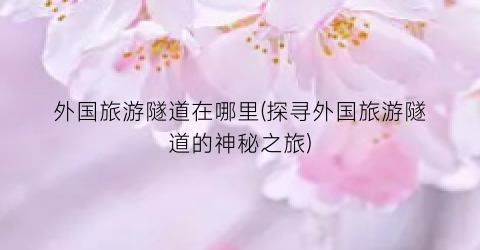 外国旅游隧道在哪里(探寻外国旅游隧道的神秘之旅)