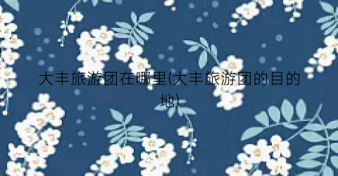 大丰旅游团在哪里(大丰旅游团的目的地)