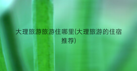 大理旅游旅游住哪里(大理旅游的住宿推荐)