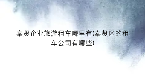 奉贤企业旅游租车哪里有(奉贤区的租车公司有哪些)