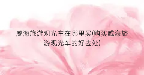 威海旅游观光车在哪里买(购买威海旅游观光车的好去处)