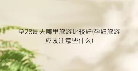 孕28周去哪里旅游比较好(孕妇旅游应该注意些什么)